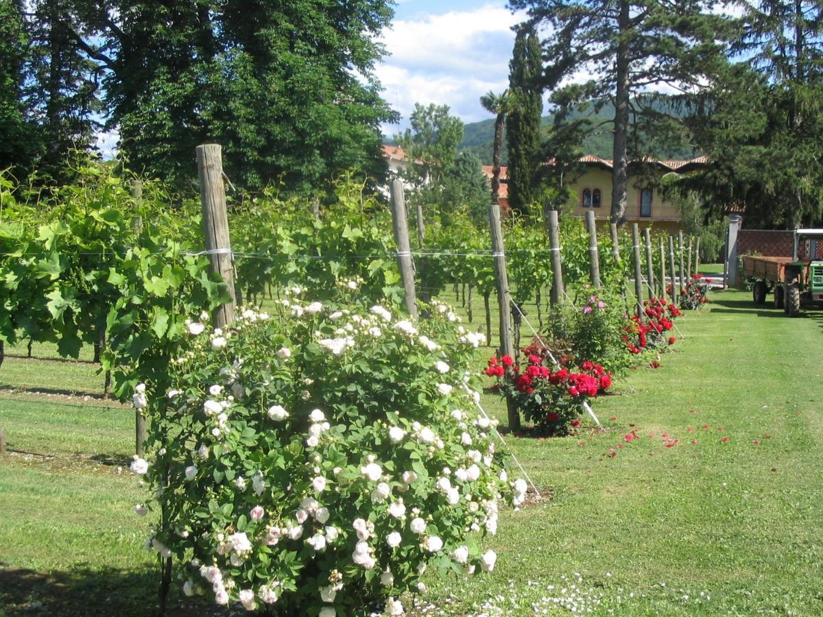 Volpe Pasini - Wine And Rooms Togliano Exterior foto